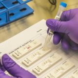 Baščarević: Zaraženo 45 zdravstvenih radnika Instituta Banjica 15