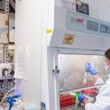 Stručnjaci: Poplava dezinformacija mogla bi da ugrozi vakcinu protiv korona virusa 1