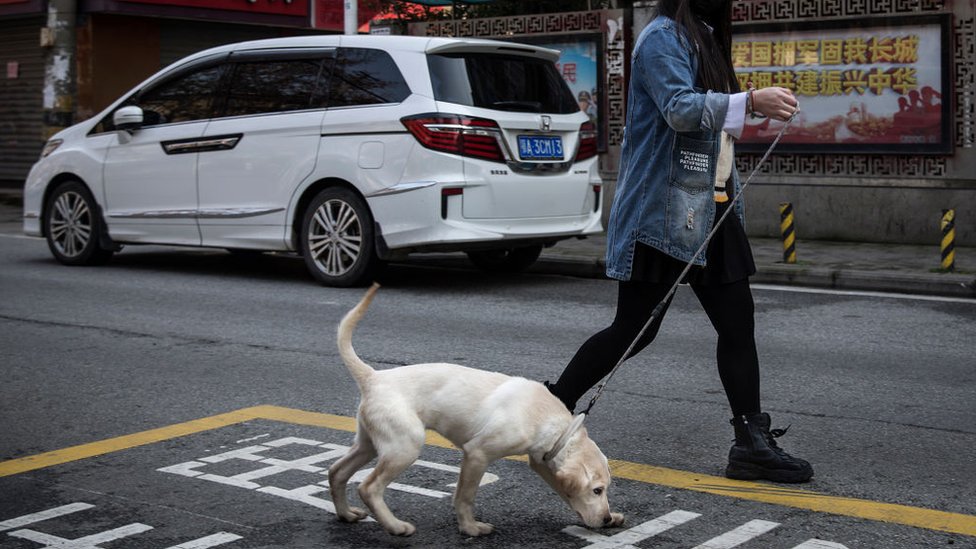 Fotografija žene koja šeta psa u Kini