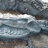 Arheologija i Tajland: Skelet retke i drevne vrste kita otkriven blizu obale 11