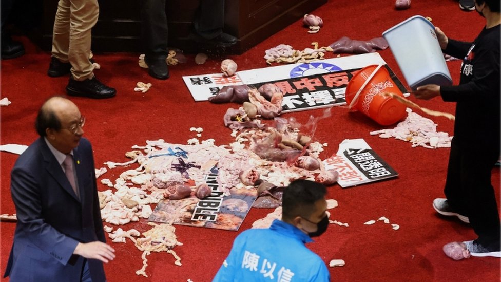Pigs intestines on parliament floor