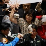 Politika, tuča i Tajvan: Opozicioni poslanici gađali premijera svinjskim crevima ljuti zbog olakšica uvoza mesa iz SAD 5