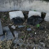 Sremski partizani to nisu zaslužili 12