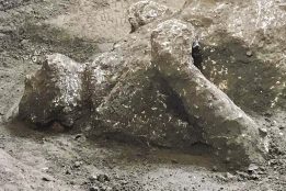 Nova otkrića u Pompeji: Nađeni ostaci dva muškarca, verovatno bogataša i roba (FOTO) 4