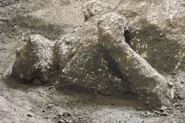 Italy Pompeii Ancient Bodies Nova otkrića u Pompeji: Nađeni ostaci dva muškarca, verovatno bogataša i roba (FOTO) 4