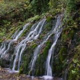 Srbija na putu ka prvom dobru Svetske prirodne baštine 5