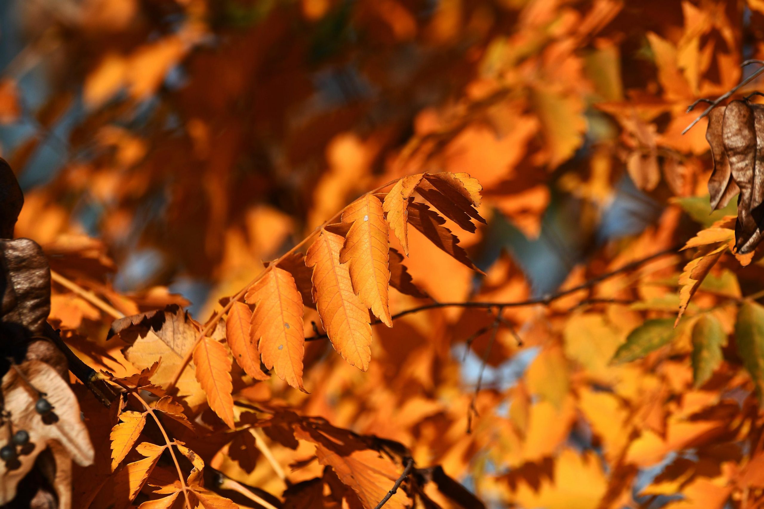U Srbiji oblačno i slaba kiša, mestimično vlažni kolovozi 1