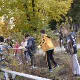 U Kosjeriću posađeno 25 sadnica javora i 128 ukrasnog šiblja 11