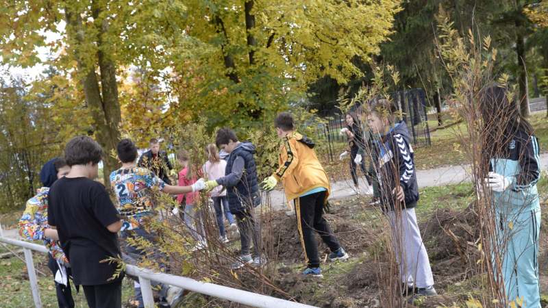 U Kosjeriću posađeno 25 sadnica javora i 128 ukrasnog šiblja 1
