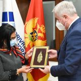 Investitori iz Emirata zainteresovani za Crnu Goru 7