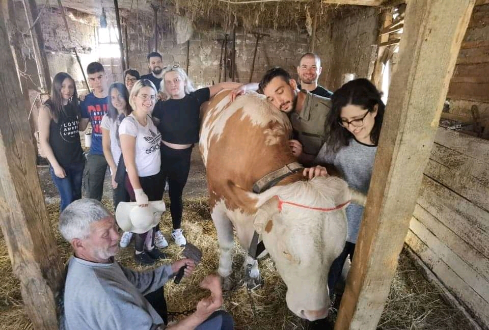 Vegani u Srbiji trpe veću stigmatizaciju od veganki 2 Vegani u Srbiji trpe veću stigmatizaciju od veganki 2