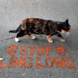 Građanski preokret: Zaustaviti subvencije stranim kompanijama 15