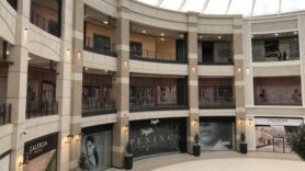 Dan u TC Galerija: Pravi izazov naći hranu i izlaz (FOTO/VIDEO) 5