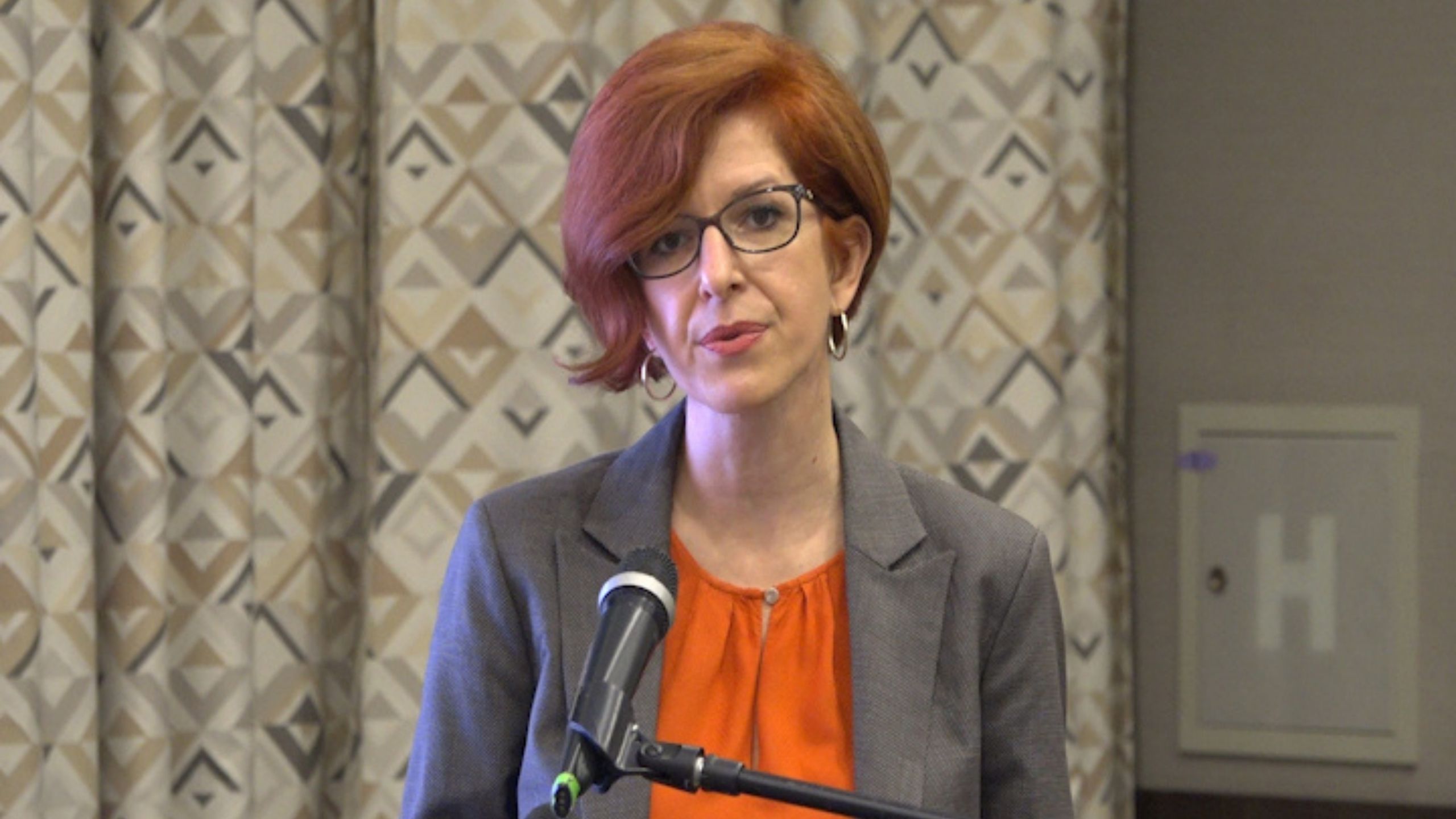 Prioriteti oporavka CG su zelena ekonomija i digitalna transformacija 1