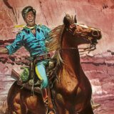 Bluberi u punom sjaju 9