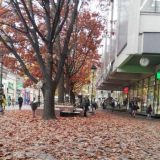 U Kraljevu još dvoje preminulih od korone, manji broj obolelih 11