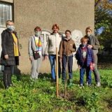 NDMBGD poziva građane da se pridruže akciji sadnje drveća 3