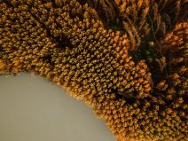 Sanja Knežević pobednica konkursa za najbolju fotografiju u medijima 11