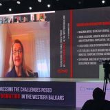 Miščević: Razvijanjem kulture medijske pismenosti gradimo otpornost na dezinformacije 3