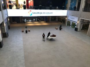 Dan u TC Galerija: Pravi izazov naći hranu i izlaz (FOTO/VIDEO) 14