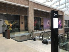 Dan u TC Galerija: Pravi izazov naći hranu i izlaz (FOTO/VIDEO) 11