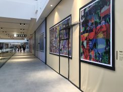 Dan u TC Galerija: Pravi izazov naći hranu i izlaz (FOTO/VIDEO) 10
