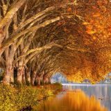 U Srbiji danas pretežno sunčano i toplo vreme 15