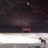 KPGT Ljubiše Ristića postaje gradsko pozorište 4