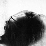 Pandemija beskičmenjaštva hara 13