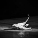 Sedamdeset godina baleta Srpskog narodnog pozorišta 8