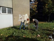 NDMBGD poziva građane da se pridruže akciji sadnje drveća 4