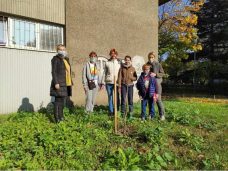 NDMBGD poziva građane da se pridruže akciji sadnje drveća 5