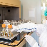 Vakcina sputnjik V može samo da se pakuje u Srbiji 10