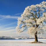 Zimska kratkodnevica 2020: Kada je „najkraći dan u godini“, ko ga slavi i zašto 10