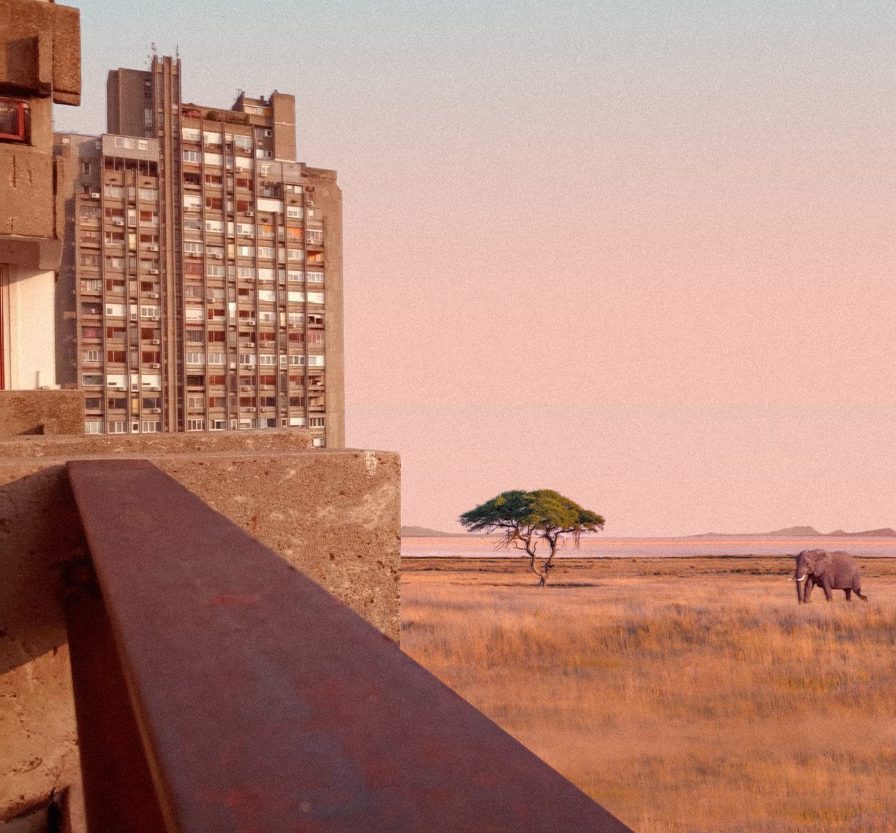 Umetnost, fotografija, Svakodnevnik: Kako su novobeogradski soliteri i tramvaji otišli na more 5 Svakodnevnik