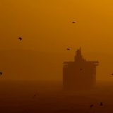 Korona virus, blokada i Velika Britanija: Kako je mutirani virus priredio probu novogodišnje Bregzit apokalipse 6