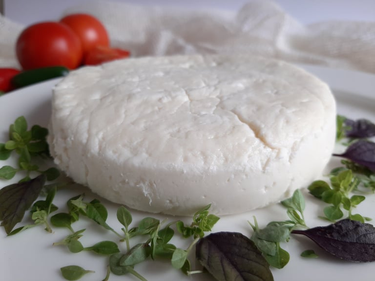 Recept: Domaća mocarela 2 Recept: Domaća mocarela 2