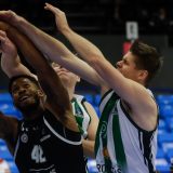 Rešiti rebus zvani Petrušev 1