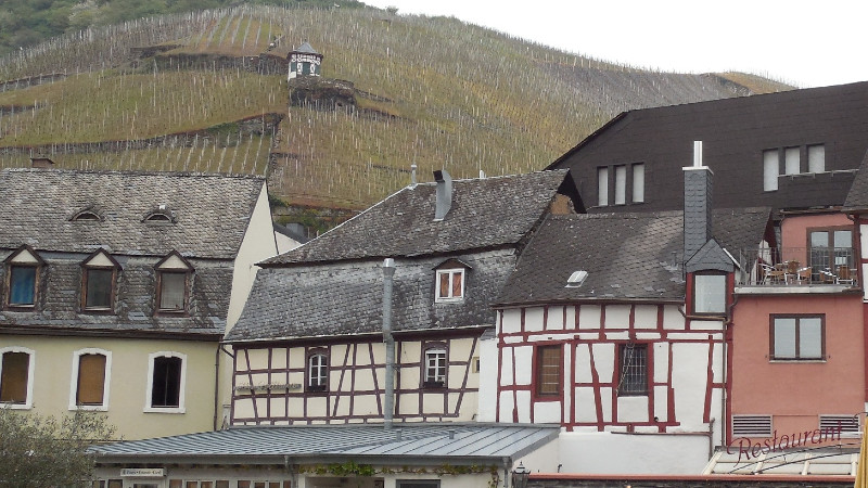 Nemačka: Vinograd sa doktorskom titulom 1 Nemačka: Vinograd sa doktorskom titulom 1