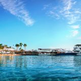 Egipat: Hurgada, zimska idila 9