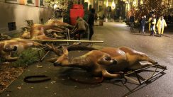 Na protestu protiv policijske brutalnosti u Tirani sukob sa policijom (FOTO, VIDEO) 6