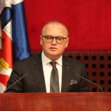 Vesić: Cena spomenika Stefanu Nemanji kad odobri vajar 12