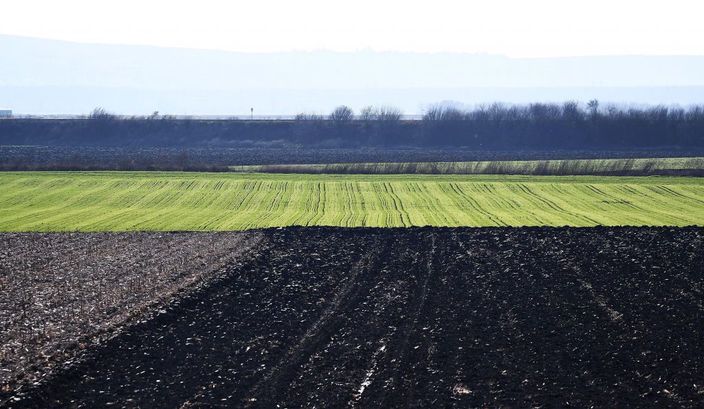 Mazohizam srpskih vlasti 2 Mazohizam srpskih vlasti 1