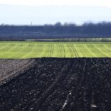 Raspisan konkurs za uređenje i koršćenje poljoprivrednog zemljišta 2