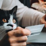 Kako izgleda online bankarstvo - iz vašeg ugla 3