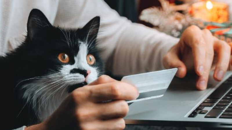 Kako izgleda online bankarstvo - iz vašeg ugla 1