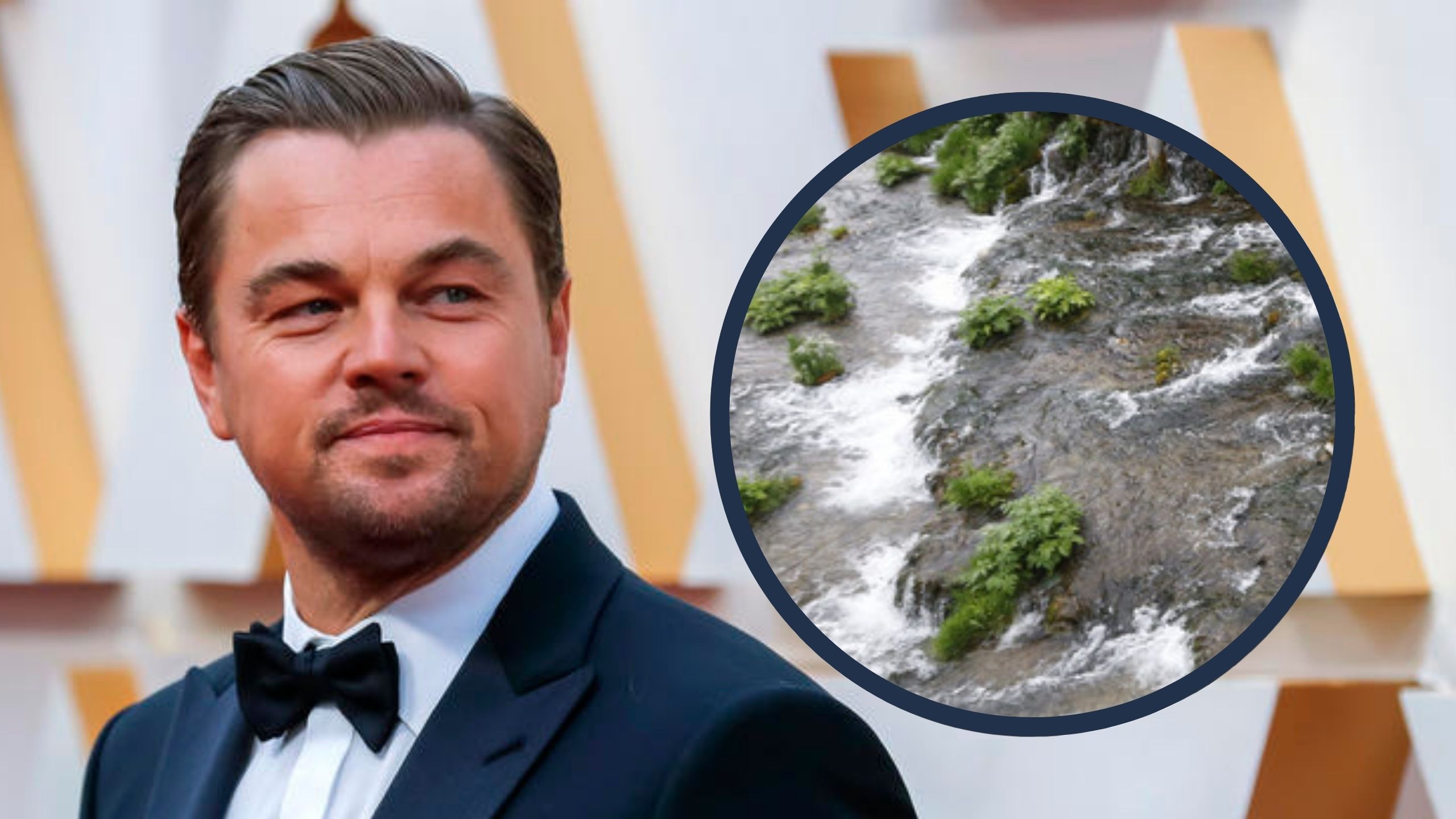 Dikaprio: BiH korak bliže spasavanju plavog srca Evrope 1