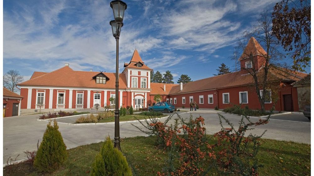 Dvorci Vojvodine: Neki postali škole i muzeji, druge uništava vreme 2