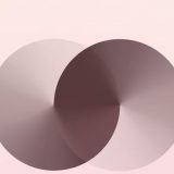 Dodela 33. Evropskih filmskih nagrada (EFA) uživo na Slobodnoj zoni 11