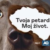 Kampanja "Tvoja petarda. Moj život." za kućne ljubimce 3